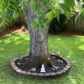 Rooted In Excellence: How Oregon Tree Services Complement Your Hardscaping Projects