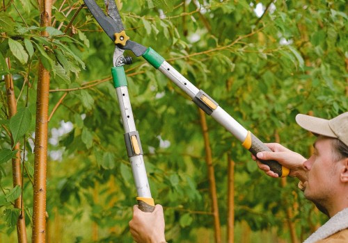 Enhancing Your Outdoor Space: Tree Service And Hardscaping Ideas For Groveland Residents